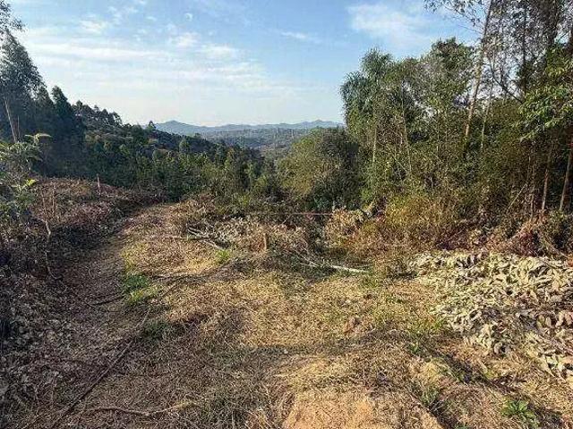 Sítio e chácara venda em Região Geográfica Imediata de Curitiba, Região Metropolitana de Curitiba