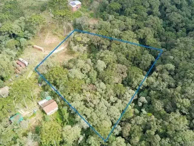 Sítio e chácara venda em Itaqui de Cima, Campo Largo