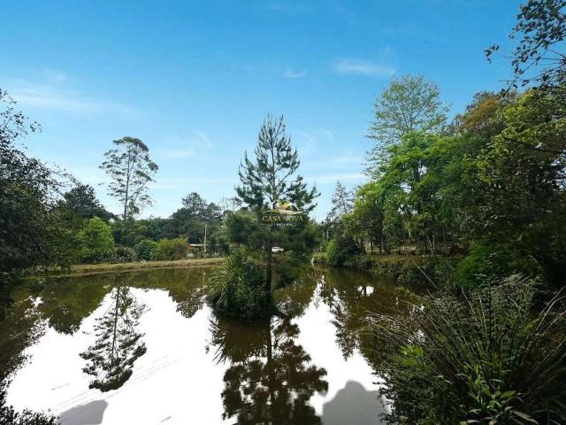 Sítio e chácara venda em Ferraria, Campo Largo