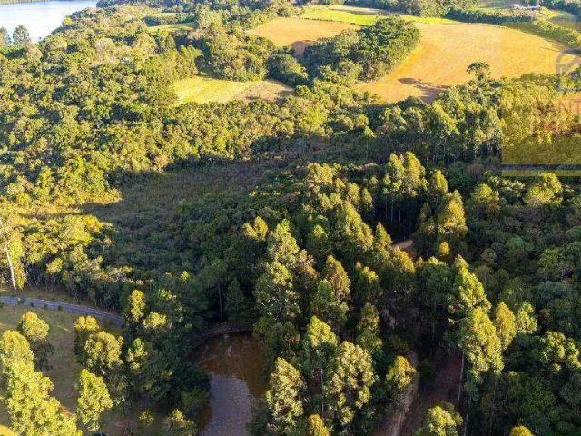Sítio e chácara venda em Região Geográfica Imediata de Curitiba, Região Metropolitana de Curitiba