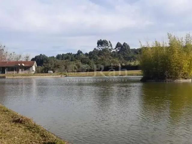 Sítio e chácara venda em Região Geográfica Imediata de Curitiba, Região Metropolitana de Curitiba