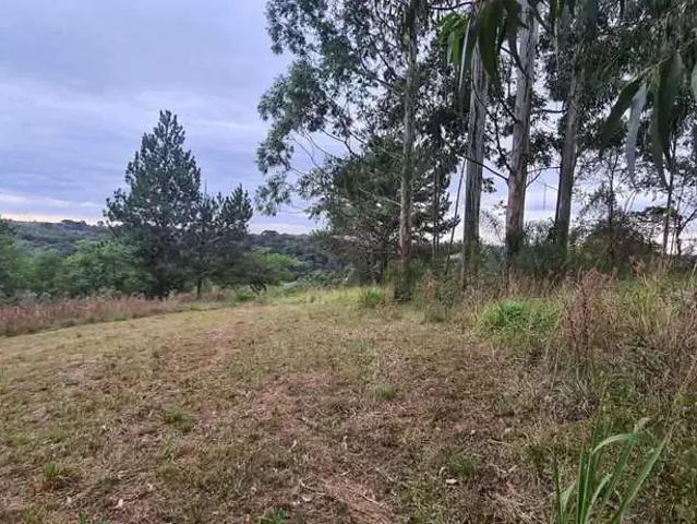 Sítio e chácara venda em Região Geográfica Imediata de Curitiba, Região Metropolitana de Curitiba