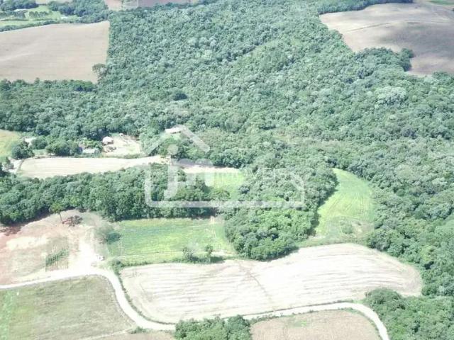 Sítio e chácara venda em Região Geográfica Imediata de Curitiba, Região Metropolitana de Curitiba