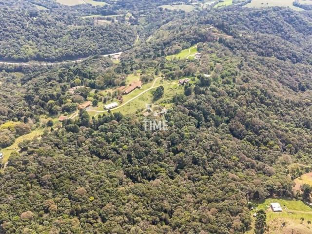 Sítio e chácara venda em Botiatuva, Campo Largo