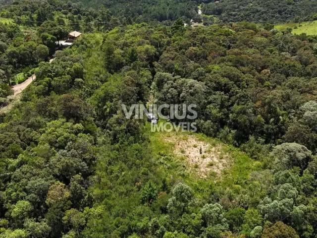Sítio e chácara venda em Região Geográfica Imediata de Curitiba, Região Metropolitana de Curitiba