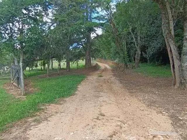 Sítio e chácara venda em Região Geográfica Imediata de Curitiba, Região Metropolitana de Curitiba