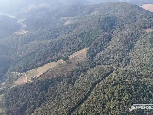 Sítio e chácara venda em Região Geográfica Imediata de Curitiba, Região Metropolitana de Curitiba