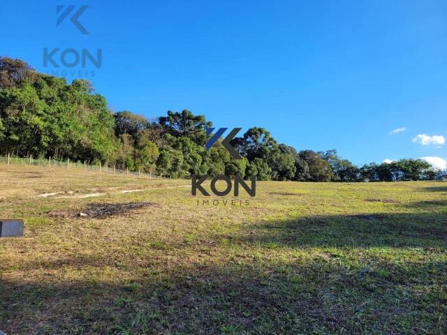 Sítio e chácara venda em Rondinha, Campo Largo