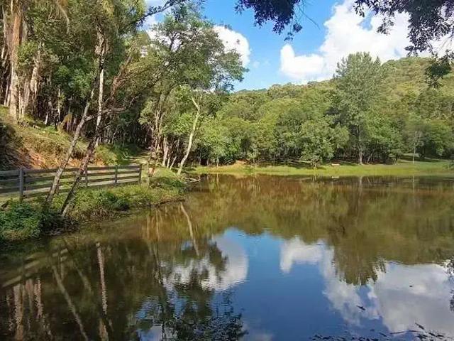 Sítio e chácara venda em Região Geográfica Imediata de Curitiba, Região Metropolitana de Curitiba