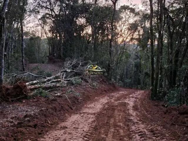 Sítio e chácara venda em Região Geográfica Imediata de Curitiba, Região Metropolitana de Curitiba