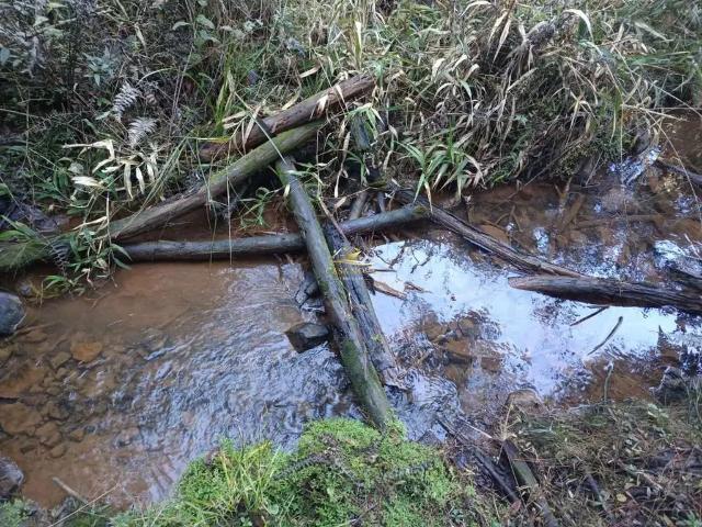 Sítio e chácara venda em Região Geográfica Imediata de Curitiba, Região Metropolitana de Curitiba