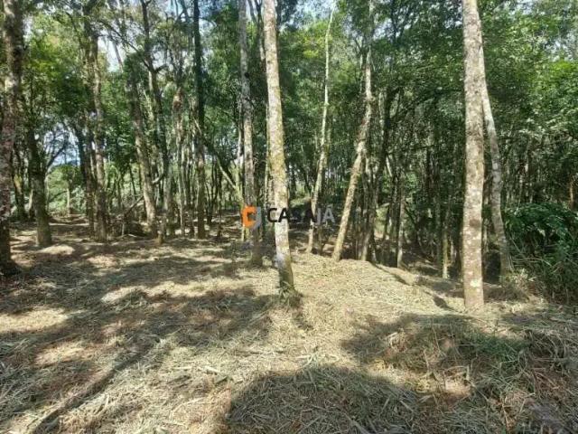 Sítio e chácara venda em Região Geográfica Imediata de Curitiba, Região Metropolitana de Curitiba