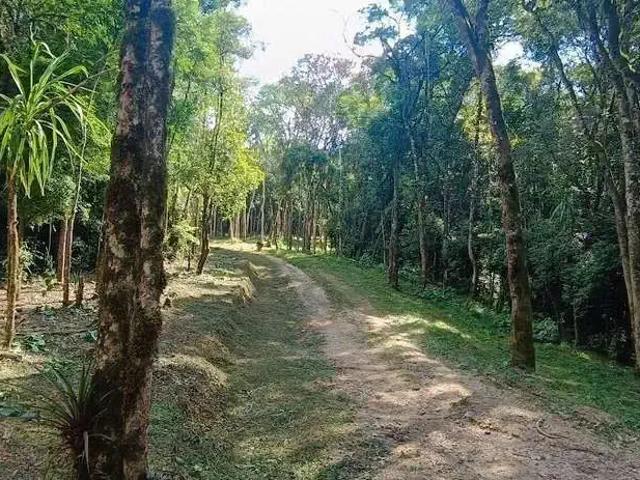 Sítio e chácara venda em Região Geográfica Imediata de Curitiba, Região Metropolitana de Curitiba