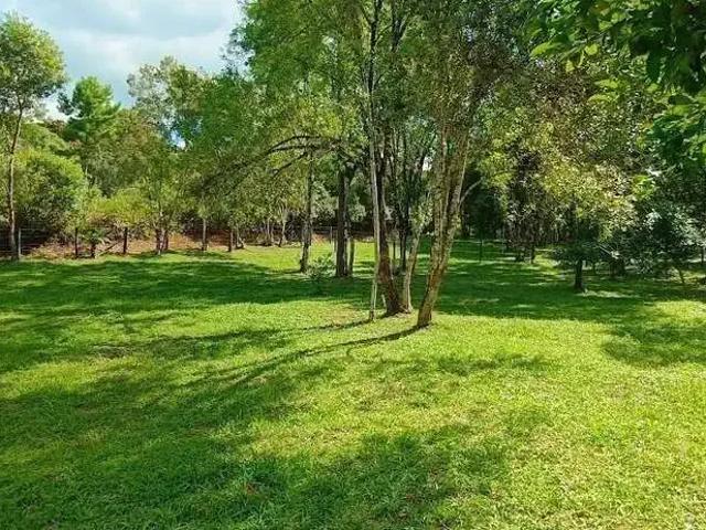 Sítio e chácara venda em Região Geográfica Imediata de Curitiba, Região Metropolitana de Curitiba