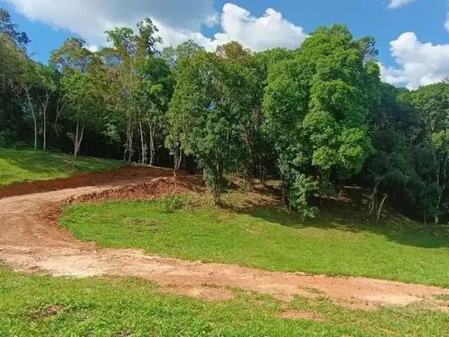 Sítio e chácara venda em Região Geográfica Imediata de Curitiba, Região Metropolitana de Curitiba