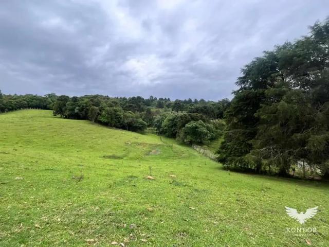 Sítio e chácara venda em Bom Jesus, Campo Largo