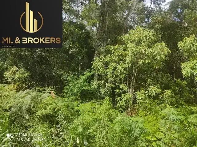 Sítio e chácara venda em Região Geográfica Imediata de Curitiba, Região Metropolitana de Curitiba