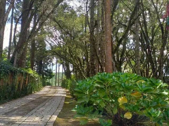 Sítio e chácara venda em Região Geográfica Imediata de Curitiba, Região Metropolitana de Curitiba