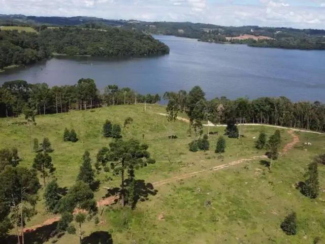 Sítio e chácara venda em Região Geográfica Imediata de Curitiba, Região Metropolitana de Curitiba