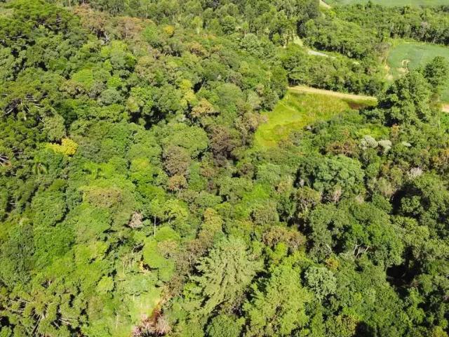 Sítio e chácara venda em Região Geográfica Imediata de Curitiba, Região Metropolitana de Curitiba