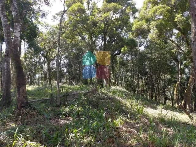 Sítio e chácara venda em Região Geográfica Imediata de Curitiba, Região Metropolitana de Curitiba