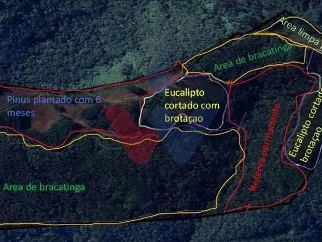 Sítio e chácara venda em Região Geográfica Imediata de Curitiba, Região Metropolitana de Curitiba