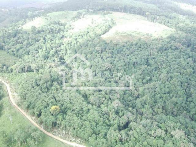 Sítio e chácara venda em Região Geográfica Imediata de Curitiba, Região Metropolitana de Curitiba