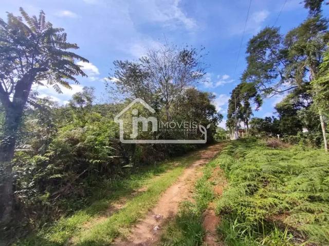 Sítio e chácara venda em Região Geográfica Imediata de Curitiba, Região Metropolitana de Curitiba