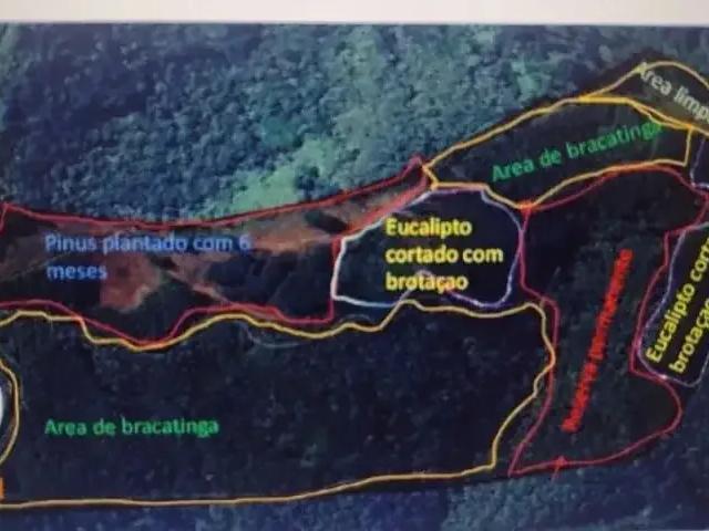 Sítio e chácara venda em Região Geográfica Imediata de Curitiba, Região Metropolitana de Curitiba