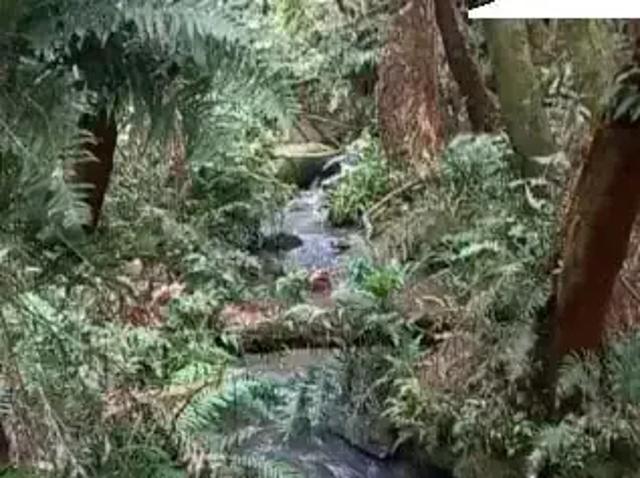 Sítio e chácara venda em Região Geográfica Imediata de Curitiba, Região Metropolitana de Curitiba