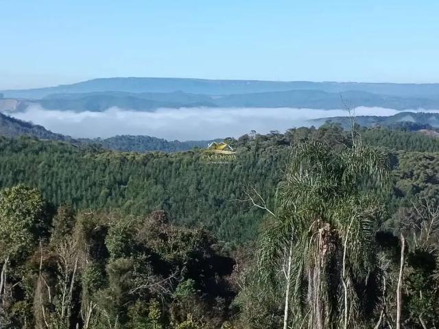 Sítio e chácara venda em Região Geográfica Imediata de Curitiba, Região Metropolitana de Curitiba