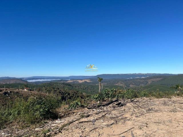 Sítio e chácara venda em Três Córregos, Campo Largo