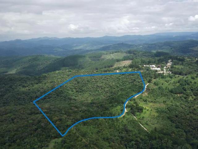 Sítio e chácara venda em Região Geográfica Imediata de Curitiba, Região Metropolitana de Curitiba