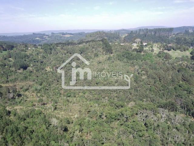Sítio e chácara venda em Região Geográfica Imediata de Curitiba, Região Metropolitana de Curitiba