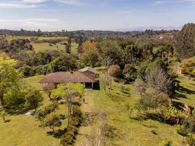 Sítio e chácara venda em Três Córregos, Campo Largo