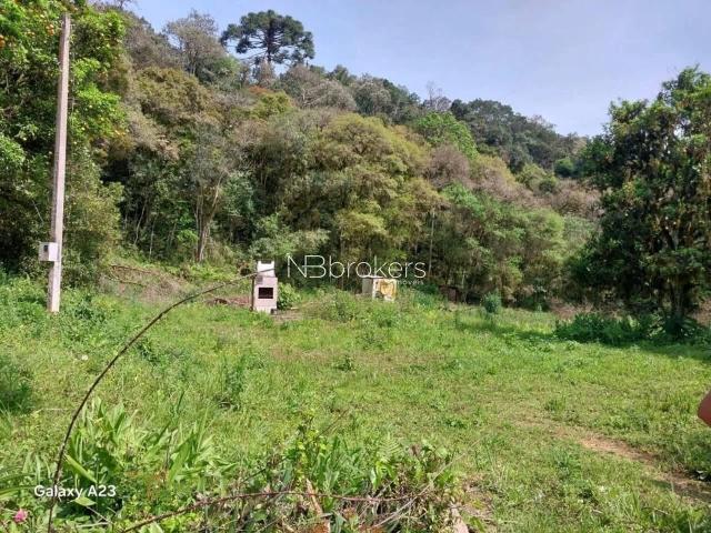 Sítio e chácara venda em Região Geográfica Imediata de Curitiba, Região Metropolitana de Curitiba