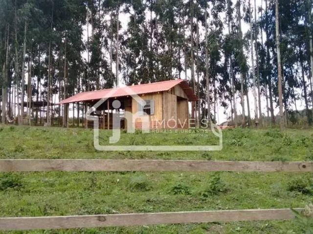 Sítio e chácara venda em Região Geográfica Imediata de Curitiba, Região Metropolitana de Curitiba