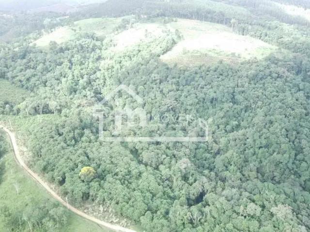 Sítio e chácara venda em Região Geográfica Imediata de Curitiba, Região Metropolitana de Curitiba