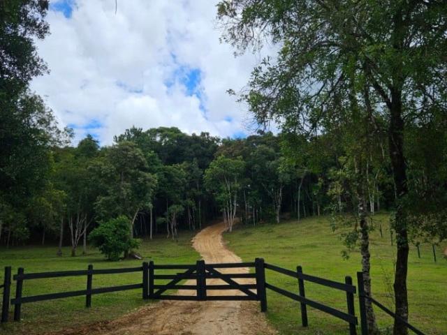 Sítio e chácara venda em Três Córregos, Campo Largo