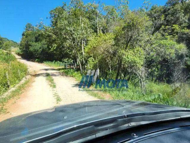 Sítio e chácara venda em Incepa, Campo Largo