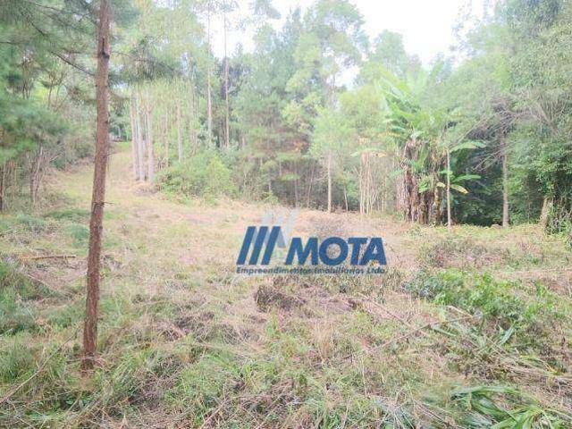 Sítio e chácara venda em Região Geográfica Imediata de Curitiba, Região Metropolitana de Curitiba