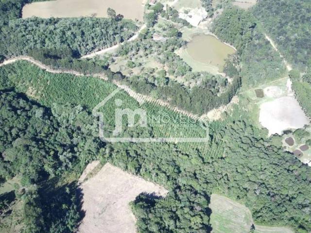 Sítio e chácara venda em Região Geográfica Imediata de Curitiba, Região Metropolitana de Curitiba