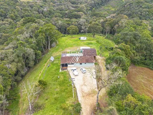 Sítio e chácara venda em Região Geográfica Imediata de Curitiba, Região Metropolitana de Curitiba