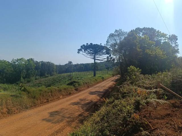 Sítio e chácara venda em Cercadinho, Campo Largo