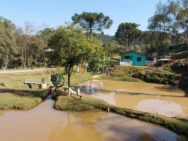 Sítio e chácara venda em Região Geográfica Imediata de Curitiba, Região Metropolitana de Curitiba