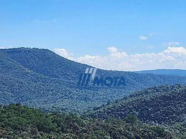 Sítio e chácara venda em Região Geográfica Imediata de Curitiba, Região Metropolitana de Curitiba