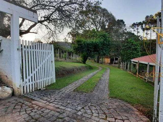 Sítio e chácara venda em Incepa, Campo Largo