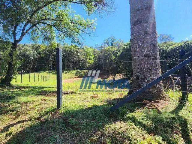 Sítio e chácara venda em Região Geográfica Imediata de Curitiba, Região Metropolitana de Curitiba