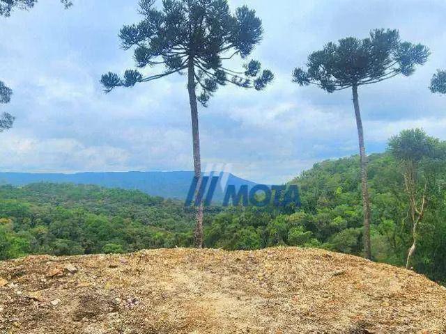 Sítio e chácara venda em Região Geográfica Imediata de Curitiba, Região Metropolitana de Curitiba