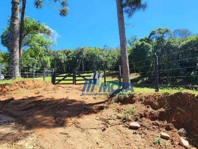 Sítio e chácara venda em Incepa, Campo Largo